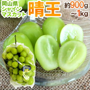 RY hVC}XJbguvh [1[ 900g`1kg Ԃǂy\ 7{ȍ~z