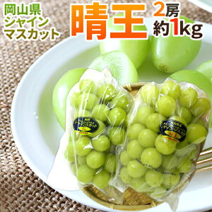 RY hVC}XJbguvh 2[ 1kg Ԃǂy\ 7{ȍ~z 