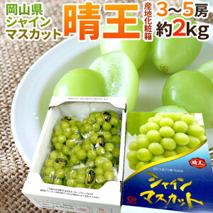 RY hVC}XJbguvh 3`5[ 2kg Ynϔ Ԃǂy\ 7{ȍ~z 