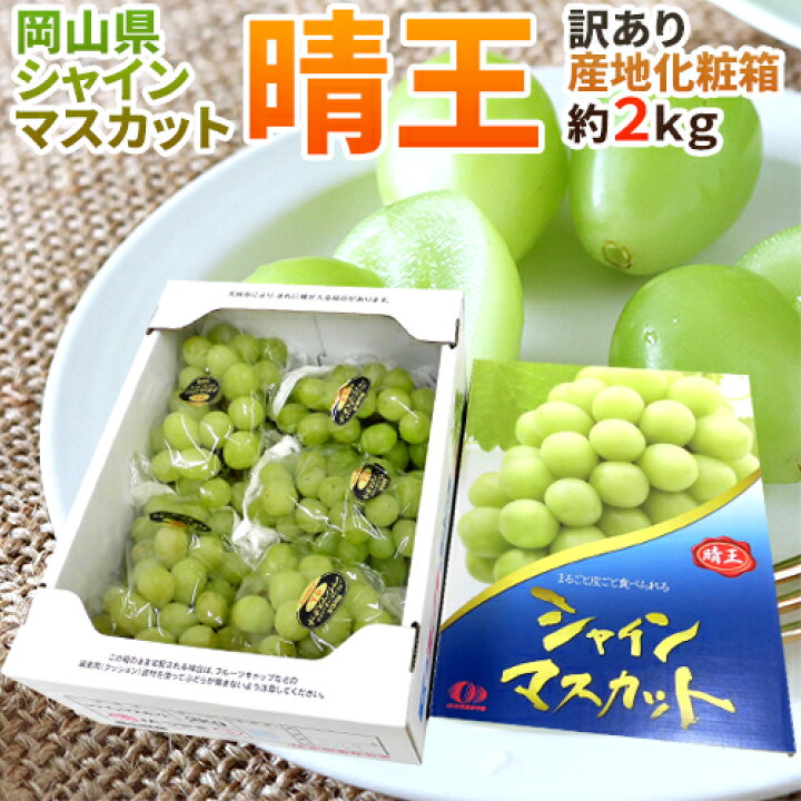 楽天市場】岡山産 ”シャインマスカット「晴王」” 訳あり 約2kg 大きさ 