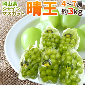 RY hVC}XJbguvh 4`7[ 3kg Ԃǂy\ 7{ȍ~z 