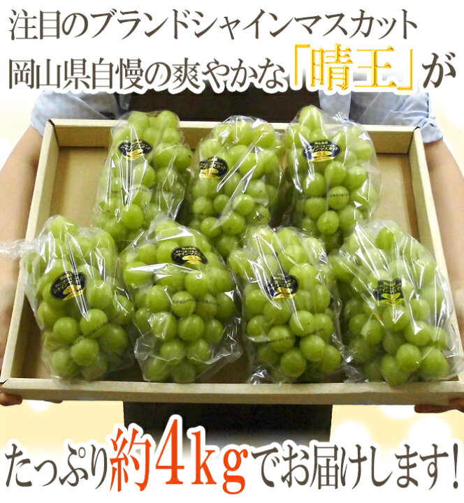 楽天市場】岡山産 ”シャインマスカット「晴王」” 5〜10房 約4kg ぶどう  