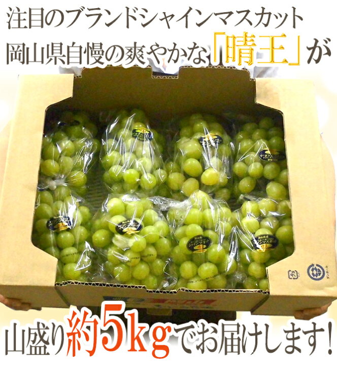 楽天市場】岡山産 ”シャインマスカット「晴王」” 7〜10房 約5kg ぶどう 