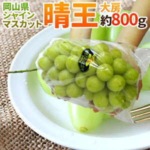 RY hVC}XJbguvh [1[ 800gȏ Ԃǂy\ 7{ȍ~z