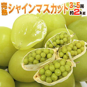 hnVC}XJbgh Gi 3`5[ 2kg YnIy\ 8ȍ~z 