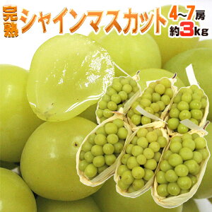 hnVC}XJbgh Gi 4`7[ 3kg YnIy\ 8ȍ~z 