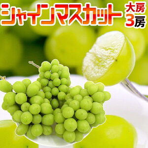 y9/25ISz|CgobN̑`XzhVC}XJbgh Gi [ 3[ 1.8`2kg YnIy\ 8{ȍ~z