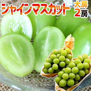 hVC}XJbgh Gi [ 2[ 1`1.2kg YnI[M2]y\ 8{ȍ~z 