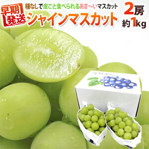 Iv~A hVC}XJbgh Gi 2[ 1kg ϔ YnIy\ 5ȍ~z 