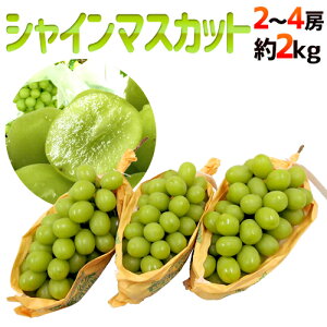 hVC}XJbgh Gi [ 2`4[ 2kg YnI[B2]y\ 8{ȍ~z