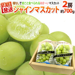 Iv~A hVC}XJbgh Gi 350gȏ×s2pct ϔ YnIy\ 5ȍ~z