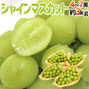 hVC}XJbgh Gi 4`7[ 3kg YnIy\ 8{ȍ~z