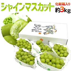 hVC}XJbgh Gi 4`7[ 3kg ϔ YnIy\ 8{ȍ~z 