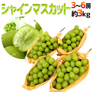 hVC}XJbgh Gi [ 3`6[ 3kg YnI[M2]y\ 8{ȍ~z 