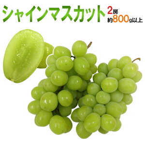 ”シャインマスカット” 秀品 2房 約800g以上 産地厳選【予約 8月下旬以降】 送料無料