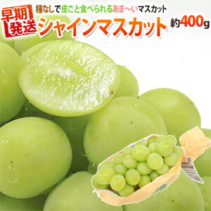 早期発送!プレミアム ”温室シャインマスカット” 秀品 1房 約400g 産地厳選【予約 5月末以降】 送料無料