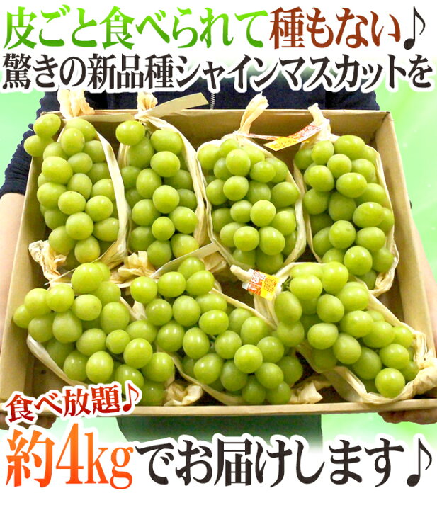 楽天市場】”シャインマスカット” 秀品 5〜10房 約4kg 産地厳選【予約 8 