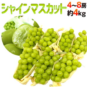 hVC}XJbgh Gi [ 4`8[ 4kg YnI[M2]y\ 8{ȍ~z 