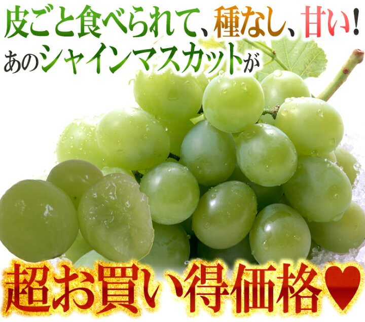 楽天市場】”シャインマスカット” 秀品 1房 約500g以上 産地厳選【予約 9月中旬以降】 : くらし快援隊〜お中元お歳暮ギフト 楽天市場】”シャインマスカット” 秀品 1房 約500g以上 産地厳選【予約 9月中旬以降】 : くらし快援隊〜お中元お歳暮ギフト
