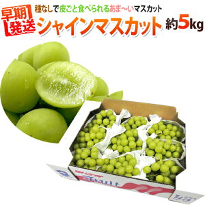 Iv~A hVC}XJbgh Gi 5kg 傫܂ YnIy\ 5ȍ~z 