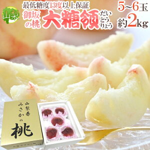 �R���� �ō����� �h�哜�́h 5�`6�ʓ��� ��2.5kg�i���܍��j���ϔ��E�����y�������E�\�� 7����{�`���{�z ��������