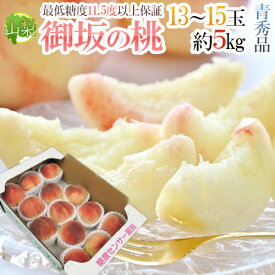 山梨県産 ”御坂の桃” 青秀品 13〜15玉 約5kg【予約 7月下旬以降】 送料無料