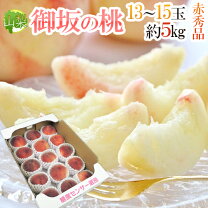 楽天市場】山梨 桃 5kg（品種（桃）白鳳）の通販