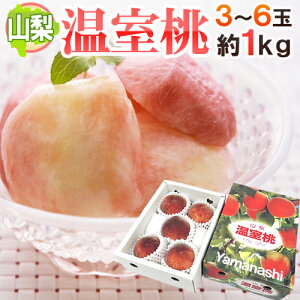 �R�����Y �h�������h 3�`6�� ��1kg ���ϔ��y�\�� 5���ȍ~�z ��������