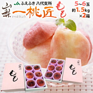 �R���� JA�ӂ��ӂ� ����n�� �h�꓍���h 5�`6�ʓ��� ��1.5kg×�s2���t ���ϔ��y�\�� 6�����ȍ~�z ��������