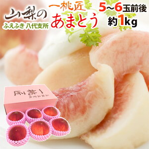 �R���� JA�ӂ��ӂ� ����n�� �h�꓍�� ���܂Ƃ��h 5�`6�ʑO�� ��1kg ���ϔ��y�\�� 5�������{�ȍ~�z ��������