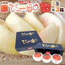 山梨県産 特選桃 ”かのいわのぴ〜一番” 3玉 約900g×《3箱》 特秀品/信玄等級 糖度13度以上保証【予約 7月以降】 送料無料