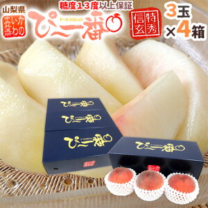 �R�����Y ���I�� �h���̂���̂ҁ`��ԁh 3�� ��900g×�s4���t ���G�i/�M������ ���x13�x�ȏ�ۏ؁y�\�� 7���ȍ~�z ��������