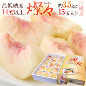 楽天市場 清水白桃 糖度の通販