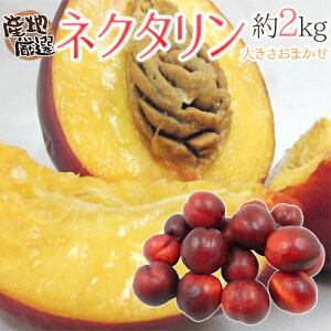 �h�l�N�^�����h �G�i ��2kg �傫�����܂��� �R�� ����Ȃ� �Y�n���I�y�\�� 7���ȍ~�z ��������