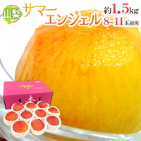記事番号:33829/アイテムID:358539の画像