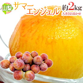 ”山梨県産 サマーエンジェル” 秀品 約2kg 大きさおまかせ プラム【予約 7月下旬以降】 送料無料