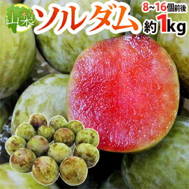 楽天市場 ソルダム フルーツ 果物 食品 の通販