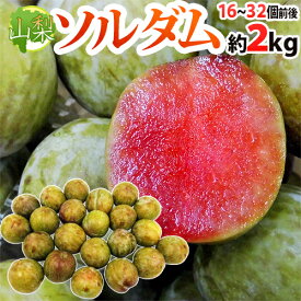 【8/5限定！全額ポイントバックの大チャンス】赤肉プラム ”山梨県産 ソルダム” 16〜32玉前後 約2kg【予約 7月以降】 送料無料