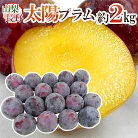 【8/5限定！全額ポイントバックの大チャンス】山梨・長野産 ”太陽プラム” 秀品 約2kg 大きさおまかせ すもも【予約 8月以降】 送料無料