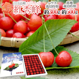 山形産 さくらんぼ ”紅秀峰” L/2L/3Lサイズ 秀品 化粧箱 手詰め ハウス栽培時期：約300g 露地栽培時期：約500g【予約 6月末以降】 送料無料