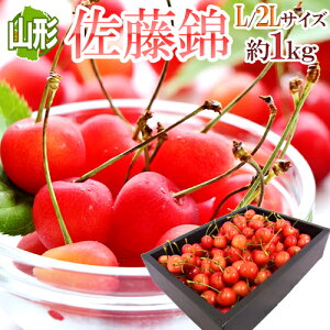 佐藤錦 1kgの人気商品 通販 価格比較 価格 Com