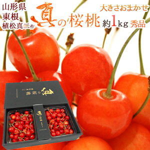 佐藤錦 1kg さくらんぼの人気商品 通販 価格比較 価格 Com 佐藤錦 1kg さくらんぼの人気商品 通販 価格比較 価格 Com