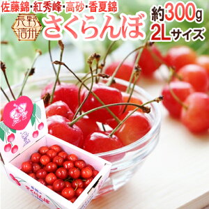 佐藤錦 送料無料の人気商品 通販 価格比較 価格 Com