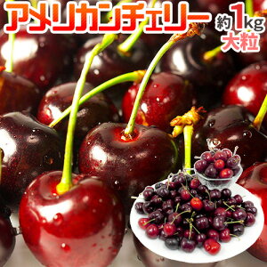 アメリカンチェリー 食品の人気商品 通販 価格比較 価格 Com