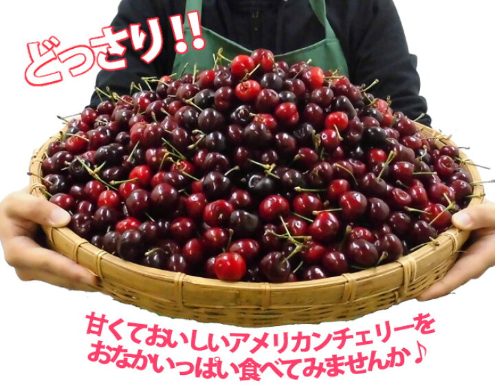 楽天市場】アメリカ産 ”アメリカンチェリー” 大粒 約8kg【予約 5月下旬 