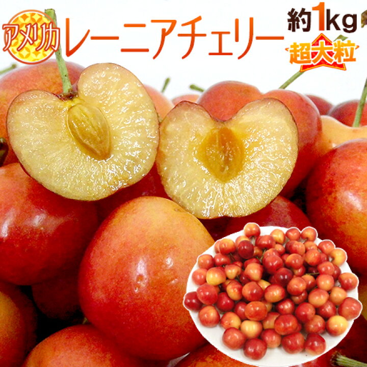 楽天市場】”アメリカ産 レーニアチェリー” 超大粒 約1kg さくらんぼ 