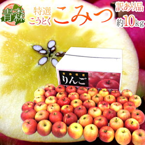 X 炯 h݂h 󂠂 傫܂ 10kg Ƃ񂲁y\ 12ȍ~z 