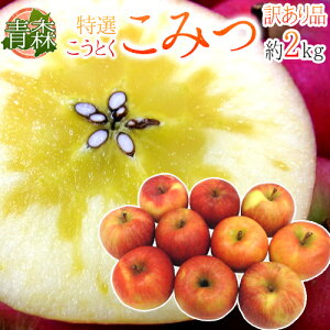 hX 炯 ݂h 󂠂 傫܂ 2kg Ƃ񂲁y\ 12ȍ~z 