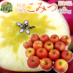 hX 炯 ݂h 󂠂 傫܂ 3kg Ƃ񂲁y\ 12ȍ~z 