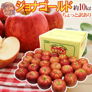 茧]hY hWiS[hh 24`32 10kg ق̂Ɩ󂠂 񂲁y\ 10{ȍ~z 